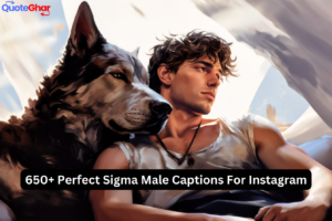 Sigma Male captions