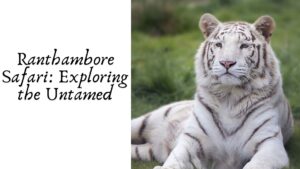 Ranthambore Safari: Exploring the Untamed